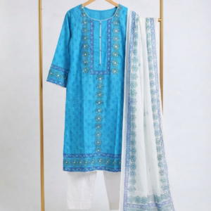 Sky Blue Printed Salwar Kameez