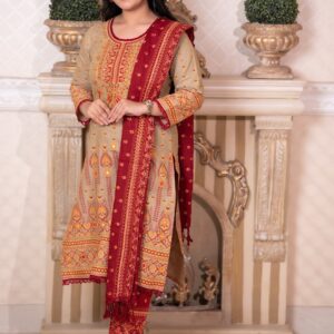 Maroon Embroidered 3 Piece